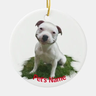 Décoration En Céramique White Pitbull Grinning in the Grass