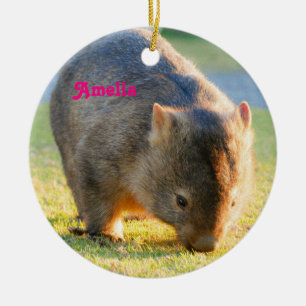 Décoration En Céramique Wombat Fun Cute Australian Nature Photography