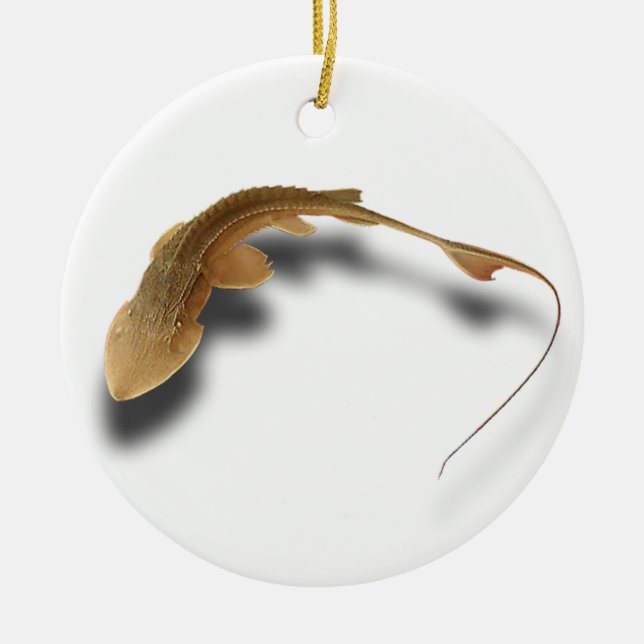 DÉCORATION EN CÉRAMIQUE >XMAS ORNAMENT -STURGEON FISH -REAL SHOVELNOSE (Devant)