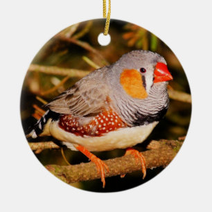 Décoration En Céramique Zebra Finch