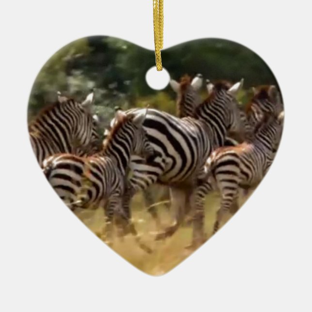 Décoration En Céramique Zèbres en mouvement : Un voyage de mille milles (Devant)