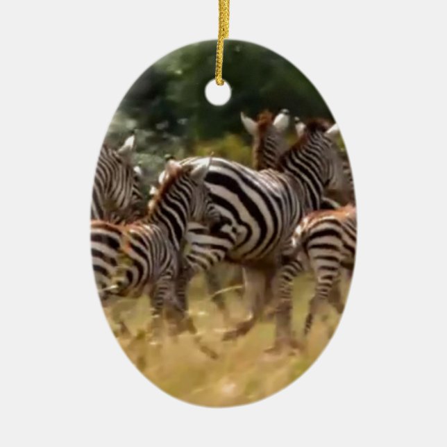 Décoration En Céramique Zèbres en mouvement : Un voyage de mille milles (Devant)