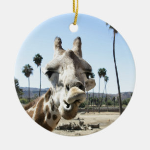 Décoration En Céramique Zoo de San Diego