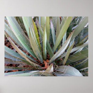 décorations de la nature