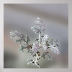 Décorations naturelles de Noël