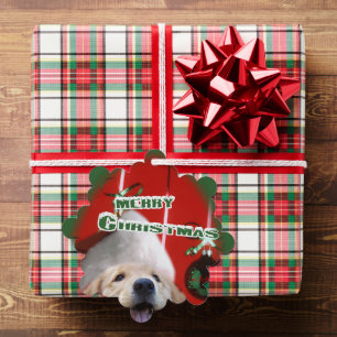 Décorative Carte d'ornement de Noël pour retrieur d'or