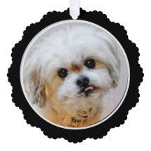 Carte d'ornement en papier Malshi