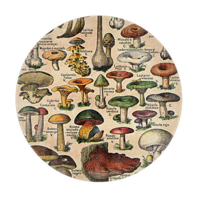 Découper Illustrations de champignons vintage Planche à déc (Devant)