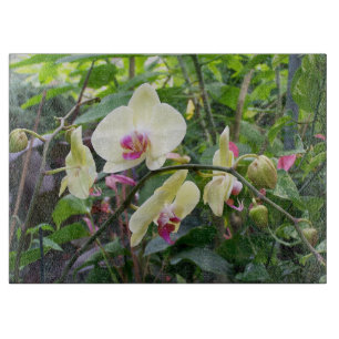 Découper Planche à verre Orchidées jaunes