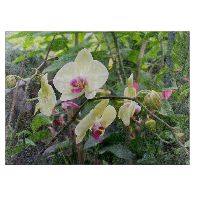 Découper Planche à verre Orchidées jaunes (Devant)