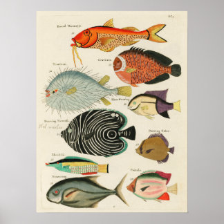 Découvrez la vie marine colorée. Poster vintage.