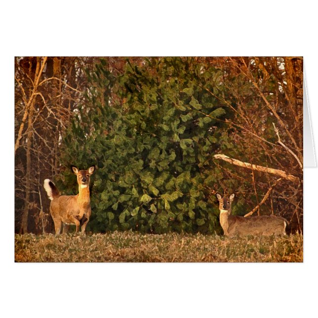 Deer at Sunrise Blank Card (Devant horizontal)