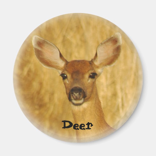 Deer Magnet (Devant)