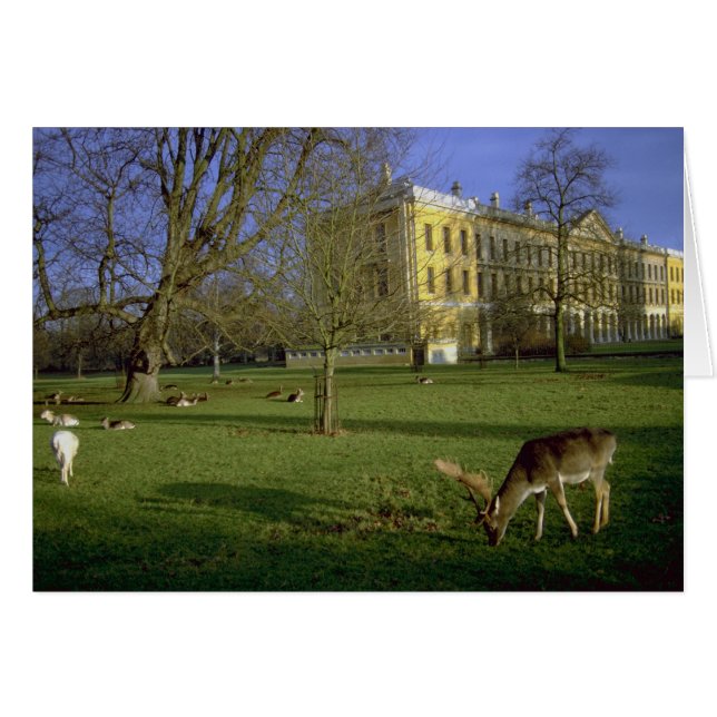 Deer park, Magdalen College, Oxford, Royaume-Uni (Devant horizontal)