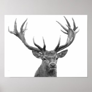 Deer Stag Black White Style Cabine moderne Poster