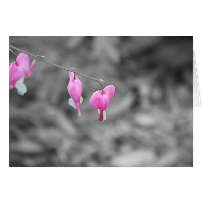 Défenseurs de la veuve et de l'orphelin le comté (Devant horizontal)