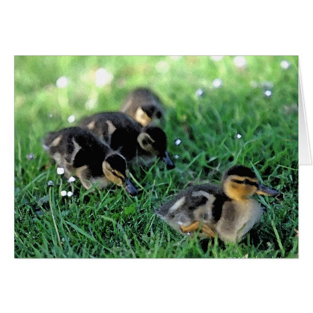 Défilé de canards (Devant horizontal)