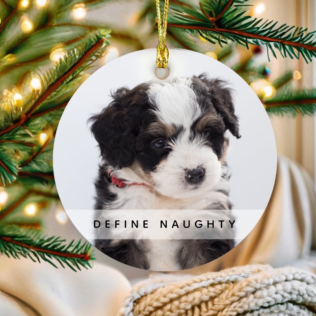 Définissez Naughty avec votre animal de compagnie  (Créateur téléchargé)