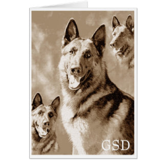 Définition du GSD