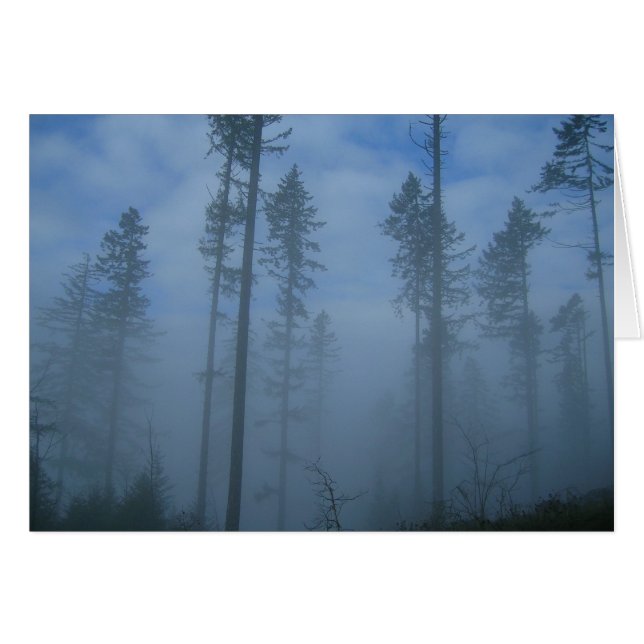 Défricher le brouillard (Devant horizontal)
