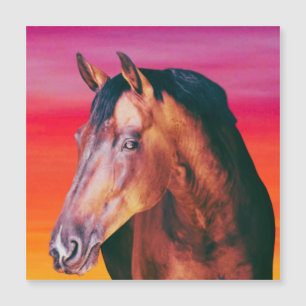 Dégradé de la baie