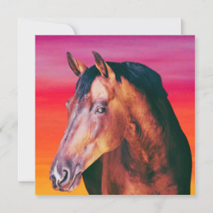 Dégradé de la baie