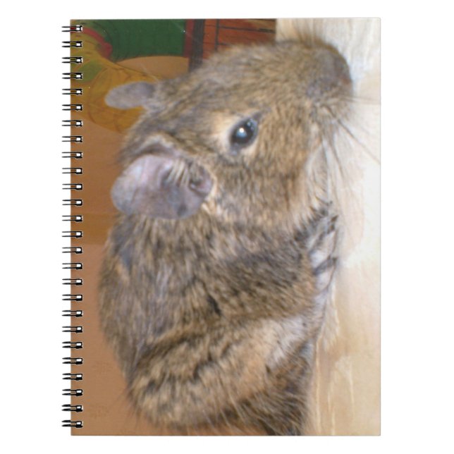 Degré Carnet relaxant (Devant)