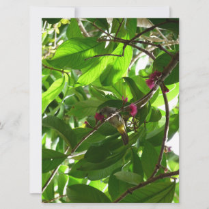 Déjeuner à l'arbre