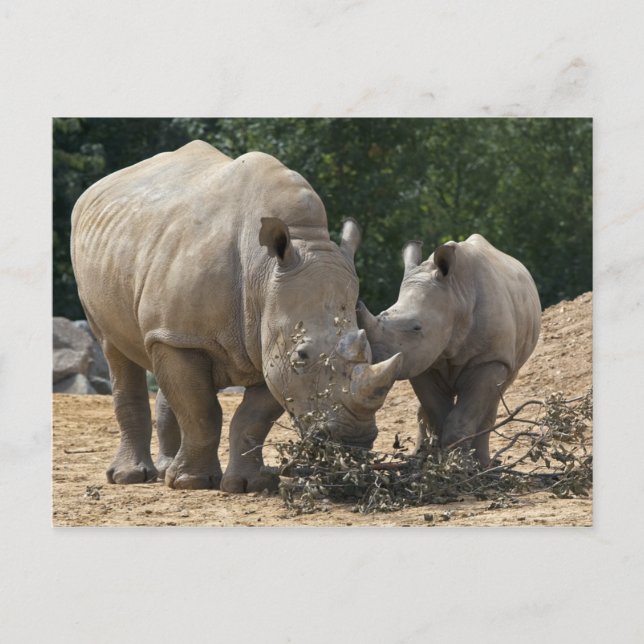 Déjeuner avec carte postale maman (Devant)