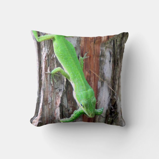 Déjeuner Quelqu'Un ? Coussin de l'ogive verte (Liz (Recto)