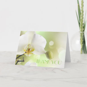 Délicat Carte de remerciements d'orchidées blanche