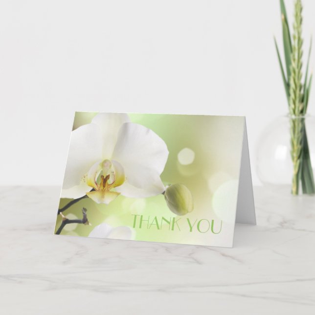 Délicat Carte de remerciements d'orchidées blanche (Devant)