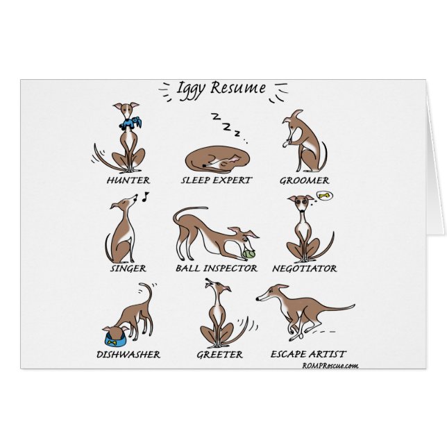 Délivrance d'Iggy (Devant horizontal)