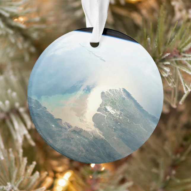 Delta De La Rivière Irrawaddy En Birmanie (Myanmar (Arbre)