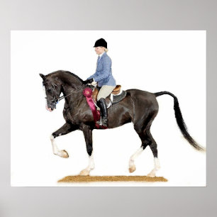 Demi-Arabian Hunter Plaisir Horse Poster Imprimer