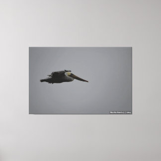 Demi-Lune Baie Frise Pelican III - Toile Enveloppé