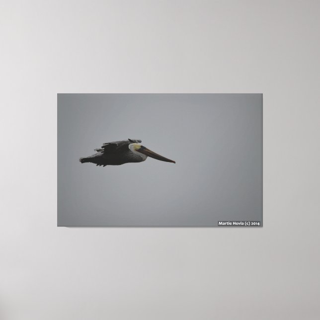 Demi-Lune Baie Frise Pelican III - Toile Enveloppé (Recto)