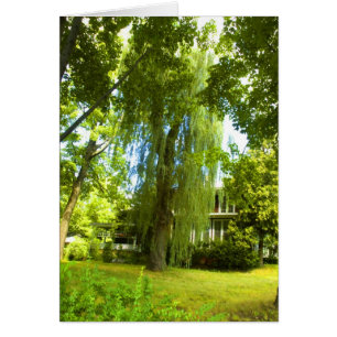 D'endroit un mystère au-delà - presque en vue