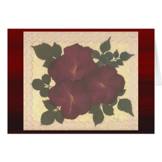 Dentelle et roses antiques
