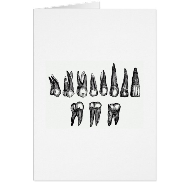 Dents vintages (Devant)