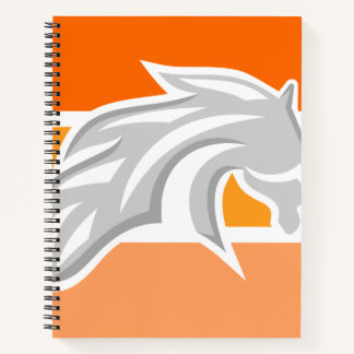 Denver | Bronco | Carnets et journaux