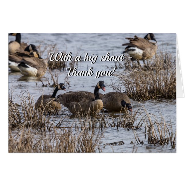 Déplacement en Carte de remerciements (Devant Horizontal)