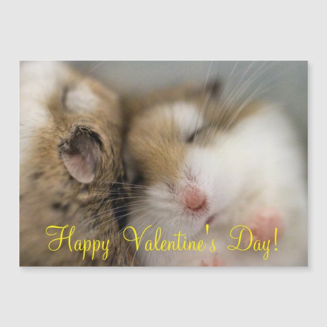 Déplacer vers Bob (Devant)