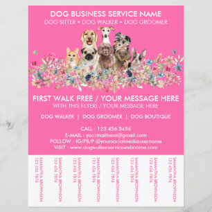 Dépliant de service de promeneur de chiens Neon Pi