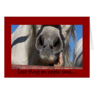 Dernière chose qu'une pomme voit... Carte
