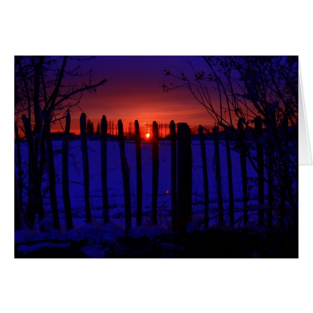 DERNIÈRE DE SOLEIL D'HIVER (Devant horizontal)