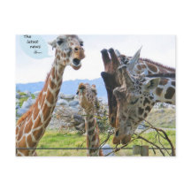 Dernières nouvelles : Carte postale