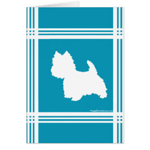 Des articles de toilette turquoise