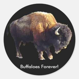 Des buffles pour toujours ! Stickers Art Bison Lov
