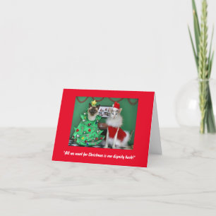 Des chats mignons sur une carte de Noël en purr
